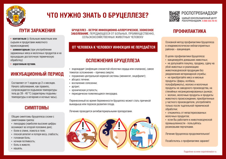 Профилактика бруцеллеза! Профилактика бруцеллеза!.